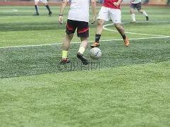 教育部举办,深化学校体,育改革高层,乐鱼体育官网,LEYU,Sports,足球直播,篮球赛事,体育高清,NBA直播