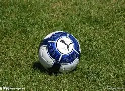 乐鱼体育,资讯,乐鱼体育官网,乐鱼体育官网,LEYU,Sports,足球直播,篮球赛事,体育高清,NBA直播