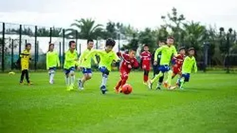 乐鱼体育 产品 091700 z02