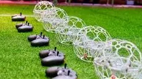 龙舞雄狮，身心兼修