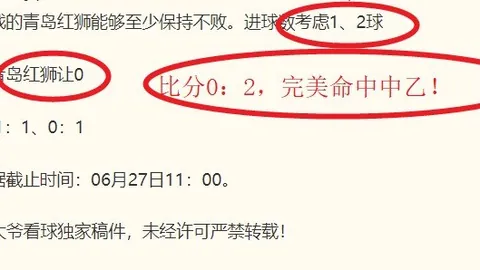 粉丝特惠深度解析乐鱼体育互动：独家赛事比分及胜负攻略